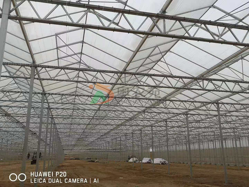 甘肃高新农业示范园区新型智能荷兰温室项目30000㎡