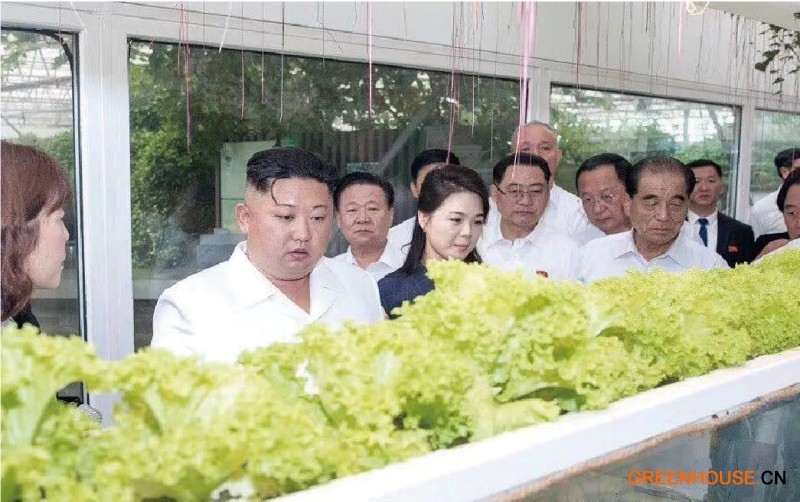 4.朝鲜最高领导人、朝鲜劳动党总书记金正恩到访创新园